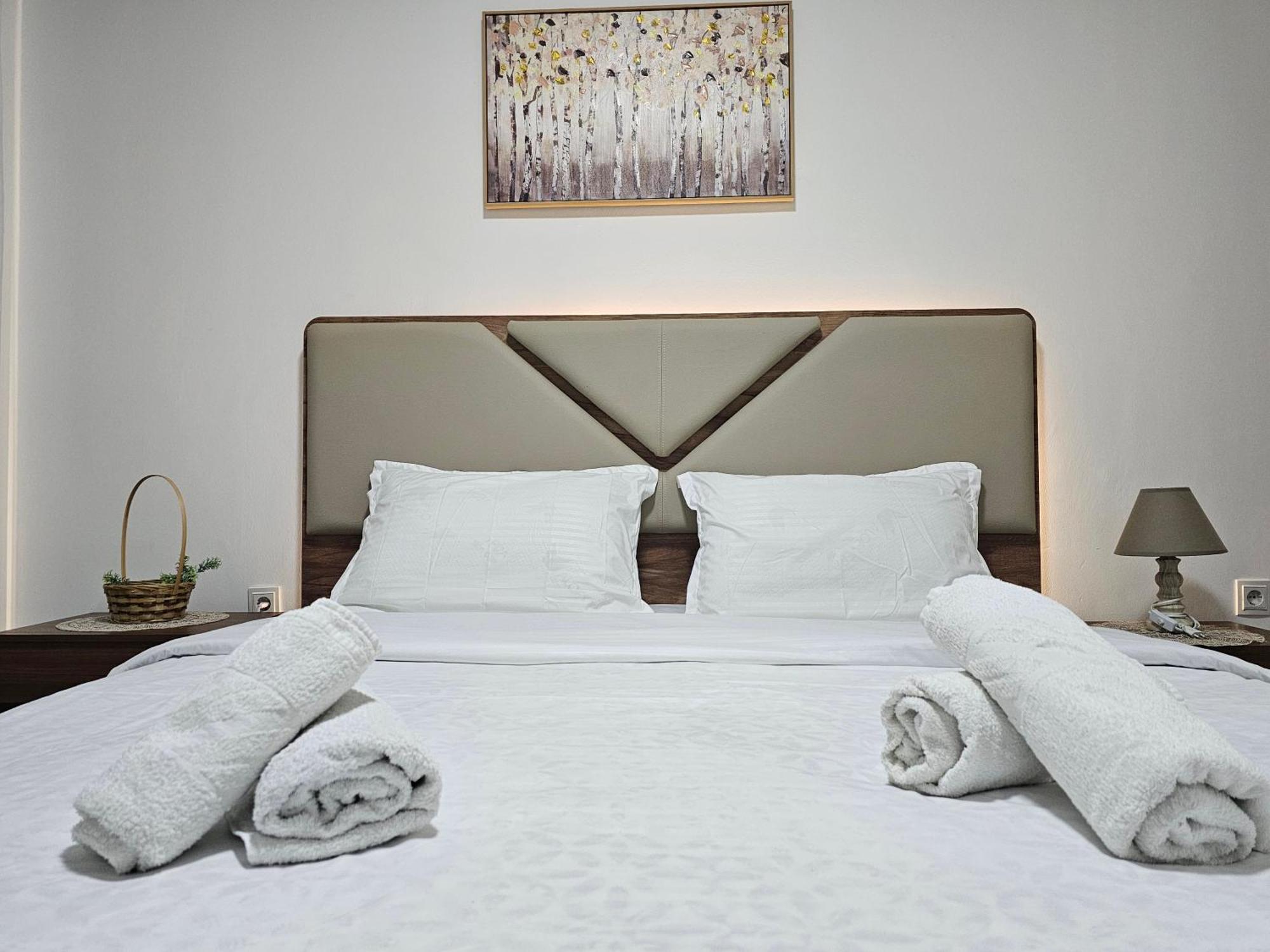 Superb 1 Bedroom In The Best Zone Of The City. Ferizaj Exteriér fotografie